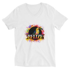 Unisex Short Sleeve V-Neck T-Shirt.